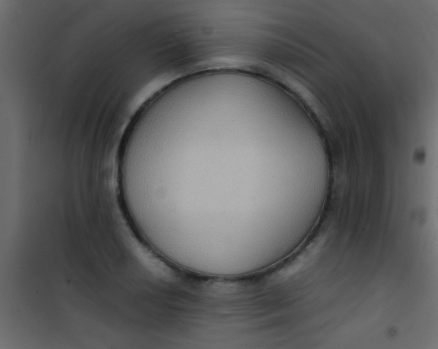 X0000101111034200807171932
