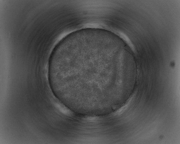 X0000101111035200807171932