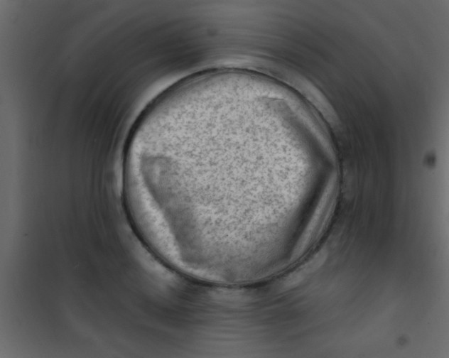 X0000101111036200807171932