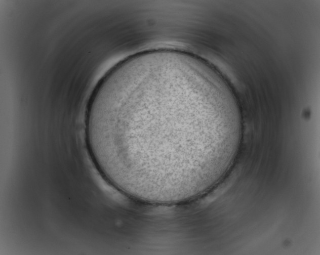 X0000101111038200807171932