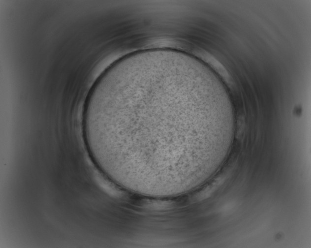 X0000101111039200807171932
