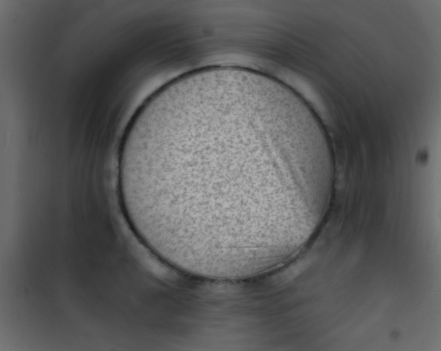 X0000101111040200807171932