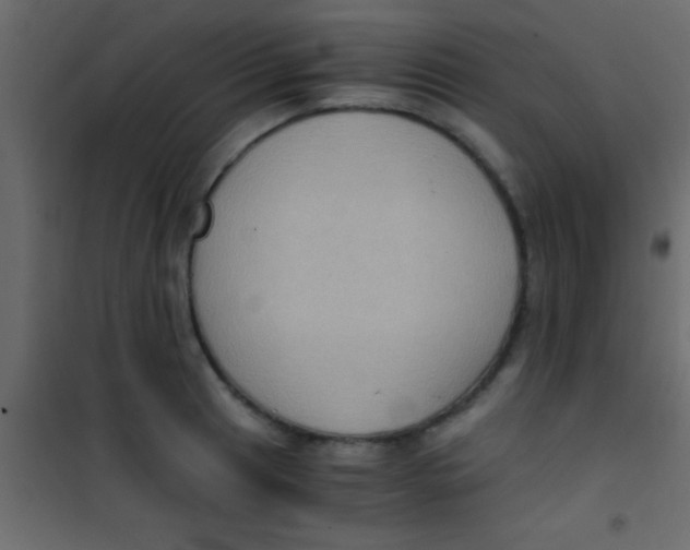 X0000101111041200807171932