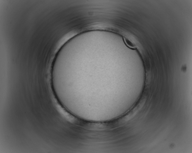 X0000101111042200807171932