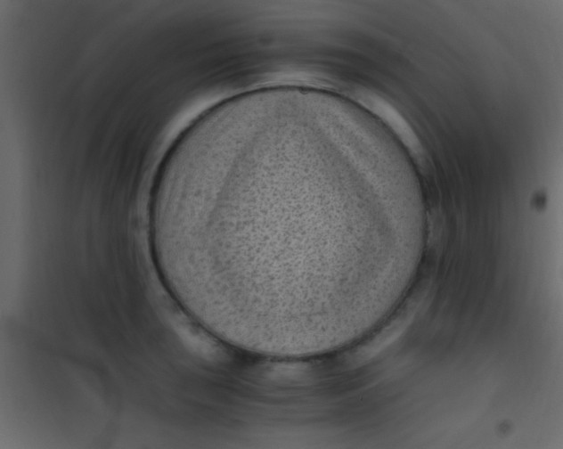 X0000101111043200807171932