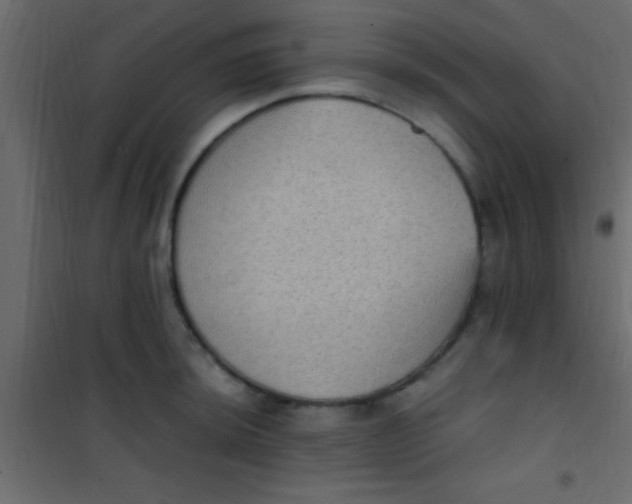 X0000101111044200807171932