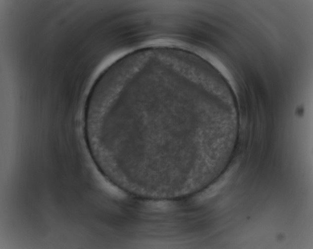 X0000101111045200807171932