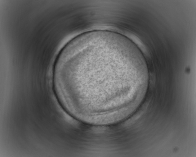 X0000101111046200807171932