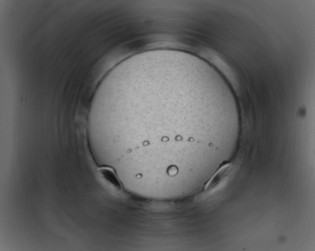 X0000101111049200807171932