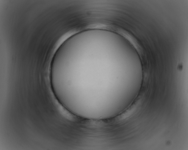 X0000101111050200807171932