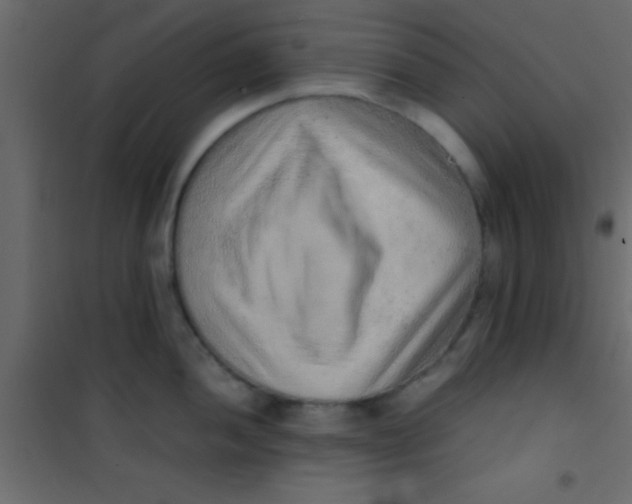 X0000101111052200807171932
