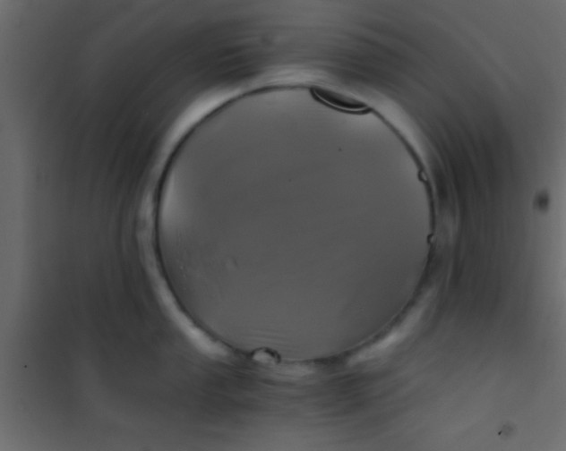 X0000101111053200807171932