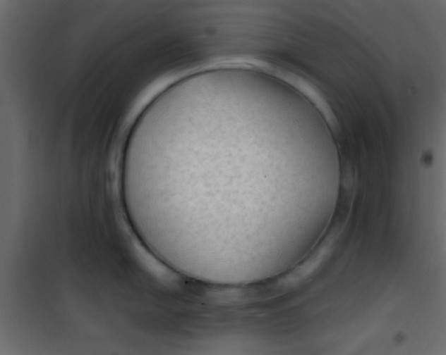X0000101111054200807171932