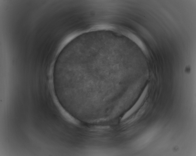 X0000101111055200807171932