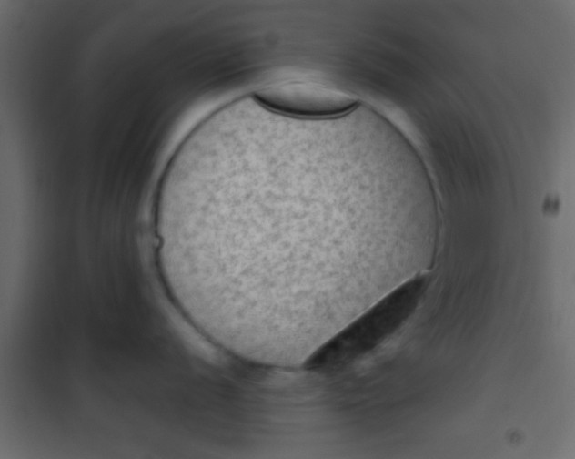 X0000101111056200807171932