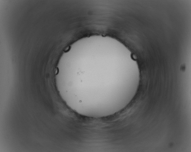 X0000101111057200807171931