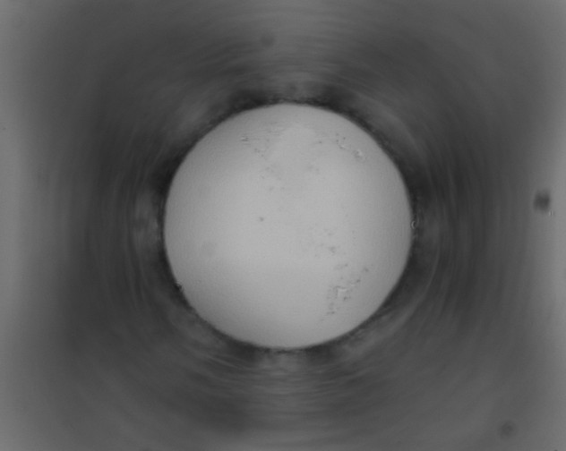 X0000101111058200807171931