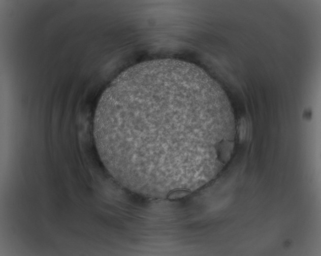 X0000101111059200807171931