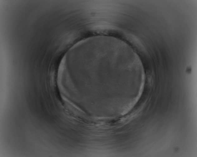 X0000101111060200807171931