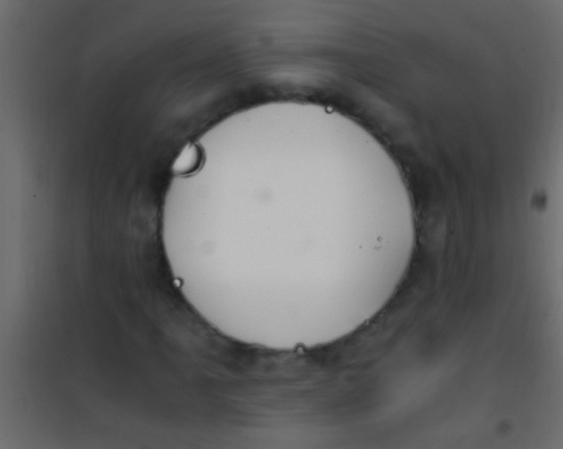 X0000101111061200807171931