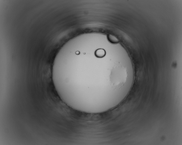X0000101111062200807171931
