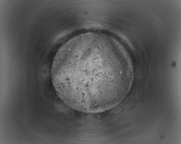 X0000101111063200807171931