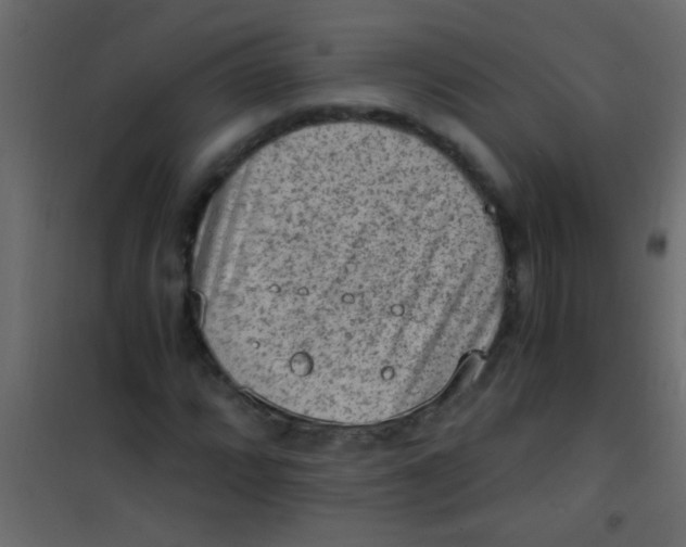 X0000101111064200807171931