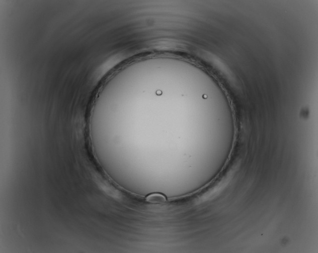 X0000101111065200807171931
