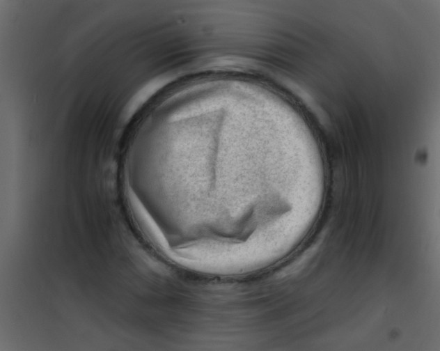 X0000101111066200807171931
