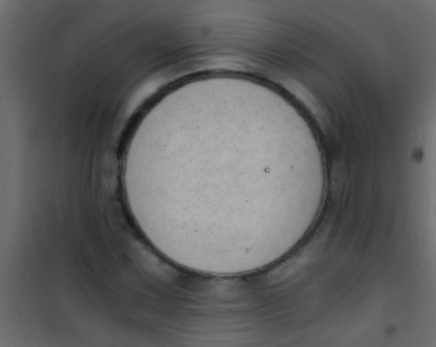 X0000101111067200807171931
