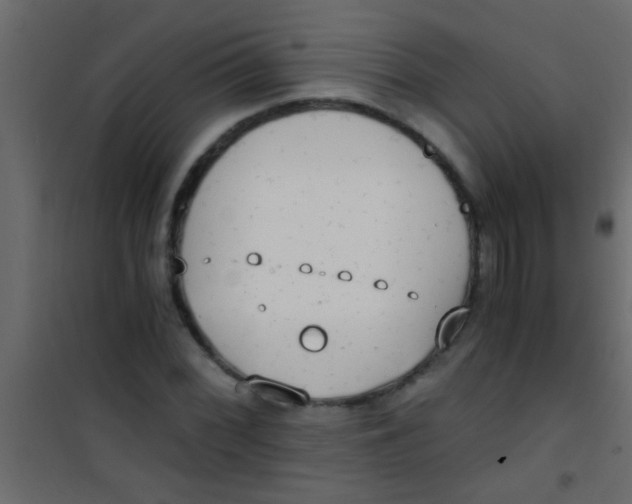 X0000101111068200807171931