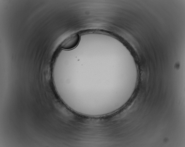 X0000101111069200807171931