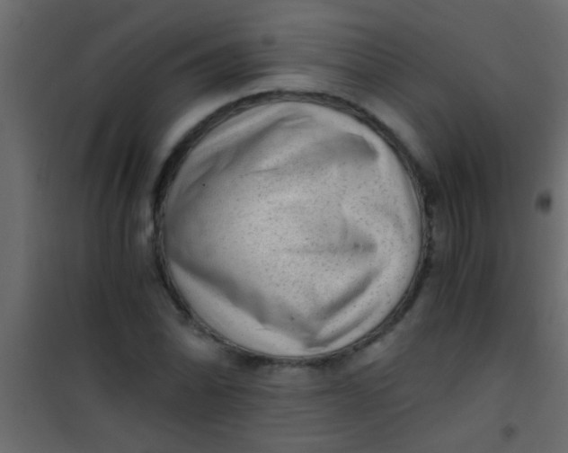 X0000101111070200807171931