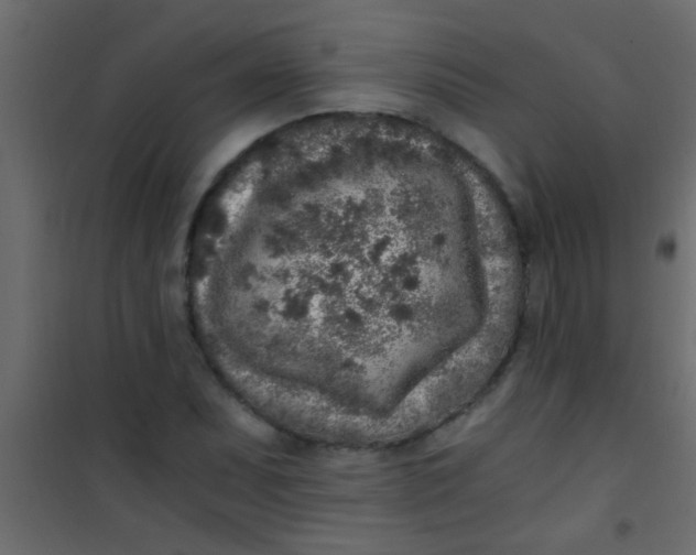 X0000101111071200807171931