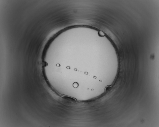 X0000101111072200807171931