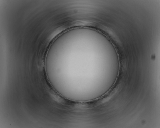 X0000101111073200807171931