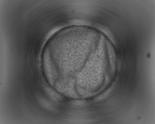 X0000101111074200807171931