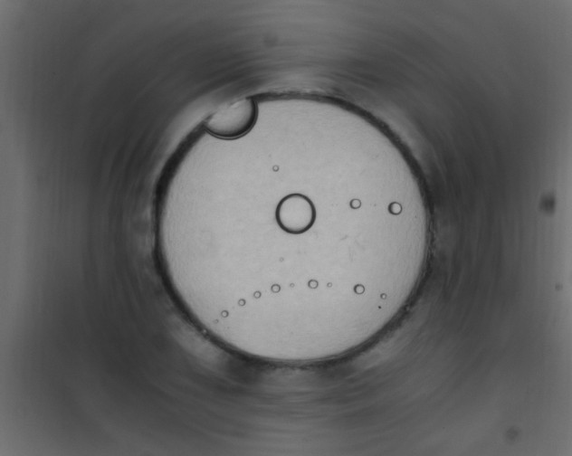 X0000101111075200807171931