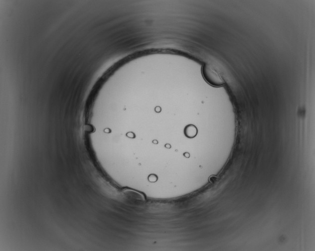 X0000101111076200807171931