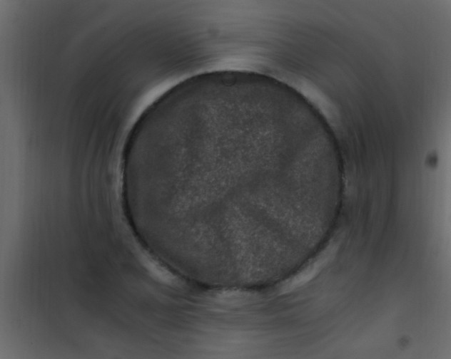 X0000101111077200807171931