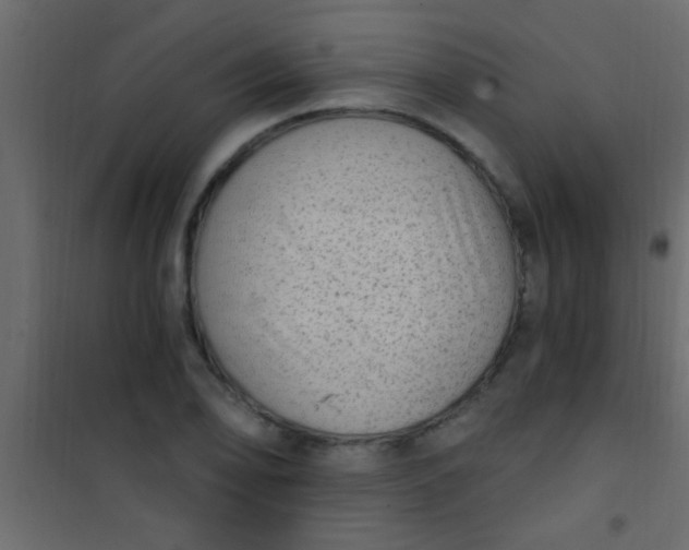 X0000101111078200807171931