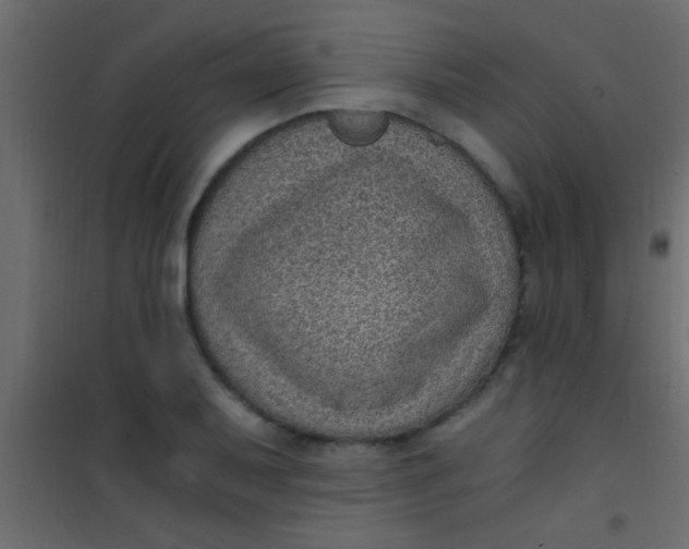 X0000101111079200807171931