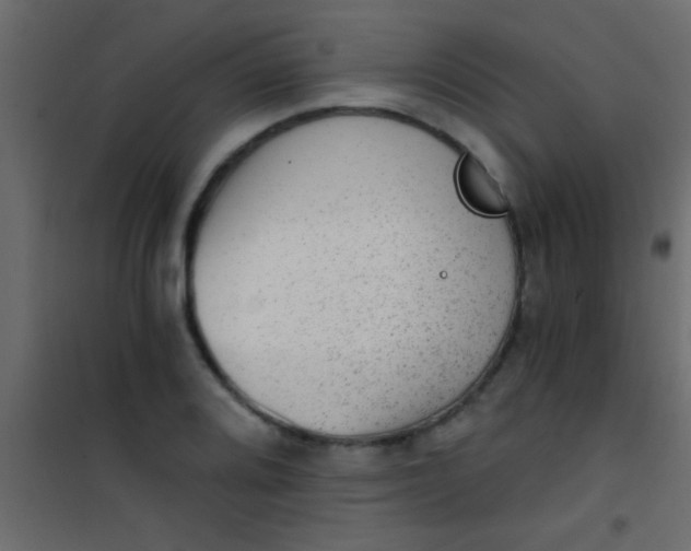X0000101111080200807171931