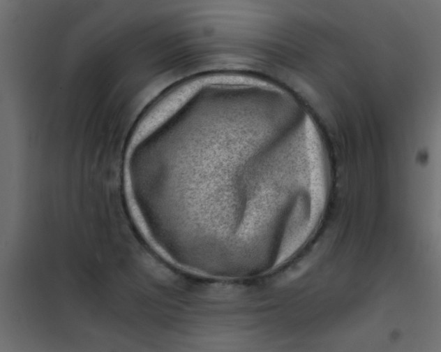 X0000101111081200807171931