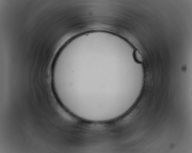 X0000101111082200807171931