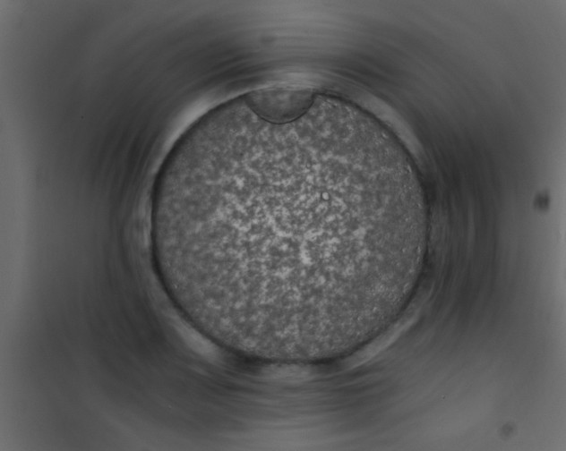 X0000101111083200807171931