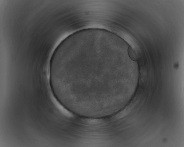 X0000101111084200807171931