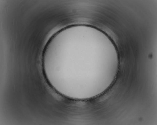 X0000101111085200807171931