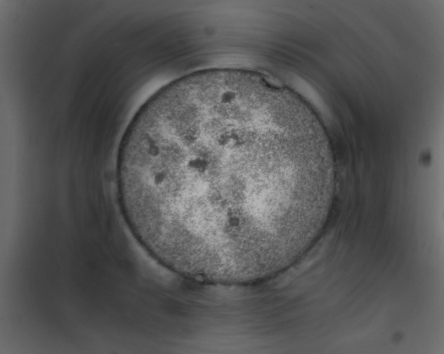 X0000101111087200807171931
