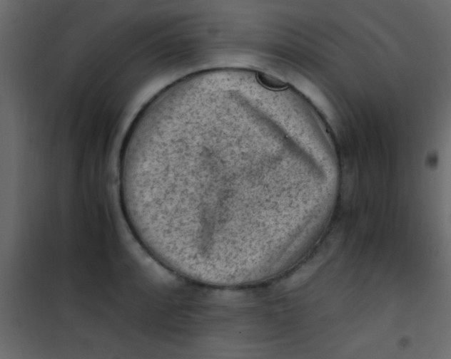 X0000101111088200807171931